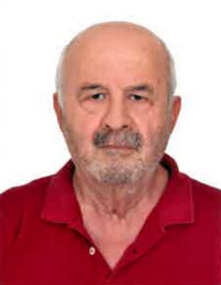 ΤΖΙΒΓΙΝΙΔΗΣ ΠΑΝΑΓΙΩΤΗΣ